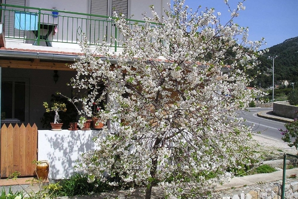 Hotel Apartmani Teo